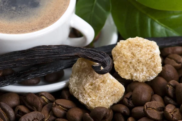 Aroma kaffe med vanilje og kaffegren – stockfoto