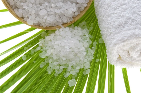 Banho sal e folha de palma — Fotografia de Stock