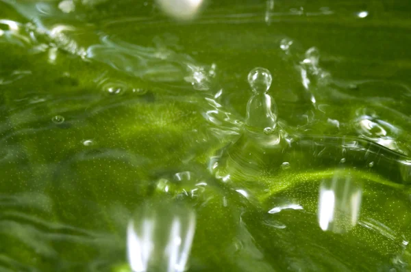 Летняя капля дождя и зеленый лист — стоковое фото