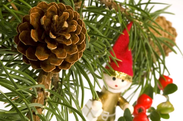 Geïsoleerde pine tak met kegel. Kerstmis — Stockfoto
