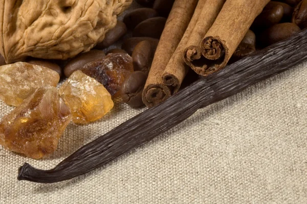 Vanilje, kanelstænger og andre krydderier - Stock-foto