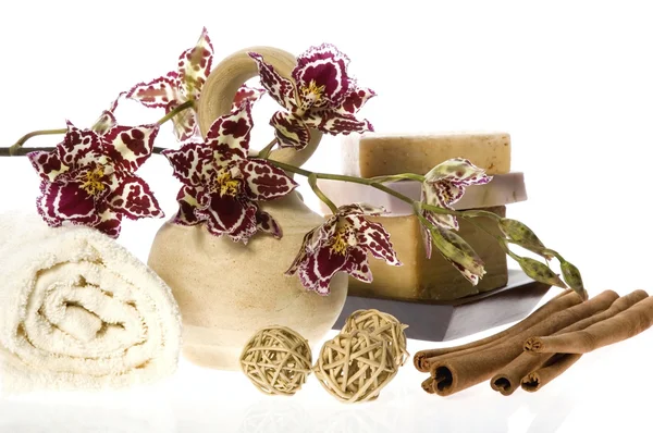 Orientaliska orchid — Stockfoto