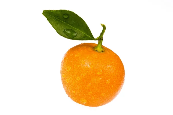 Mandarina, calamondina — Foto de Stock