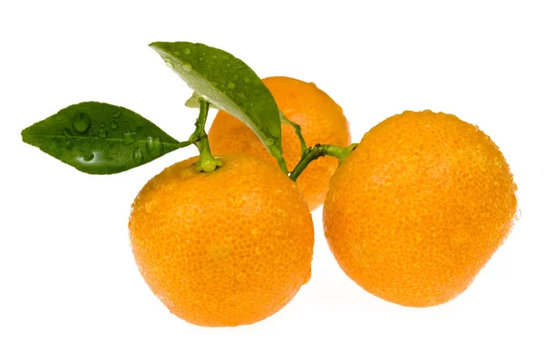 Mandarina, calamondina —  Fotos de Stock