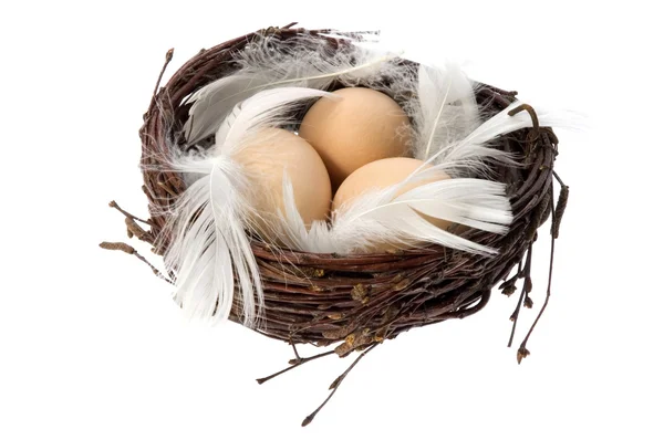 Гнездо с яйцами и перьями — стоковое фото
