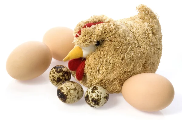 행복 한 부활절 인사말 카드-새와 계란 iso — 스톡 사진