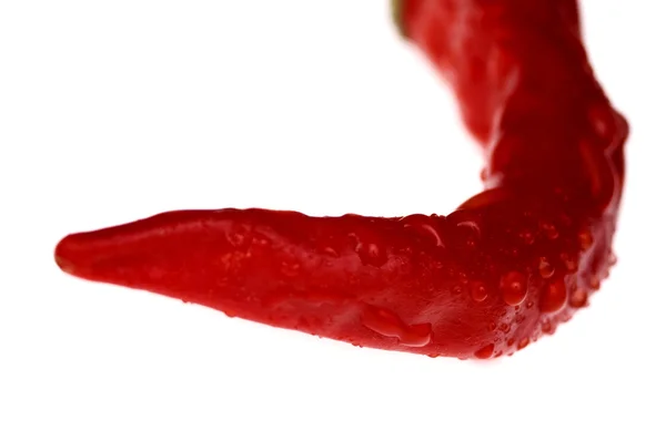Красный, острый перец — стоковое фото