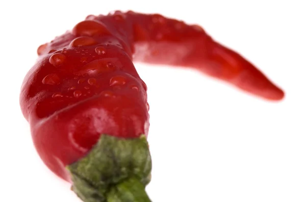 Red, hot peppers — Stock Photo, Image