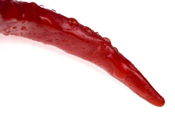 Röd, varm paprika — Stockfoto