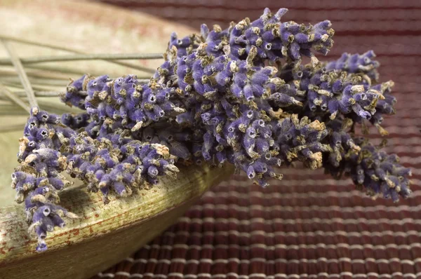 stock image Lavender bunch