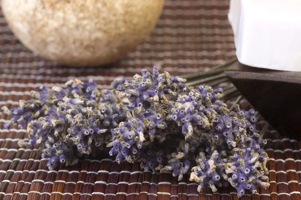 Lavender bunch — Stock Photo, Image