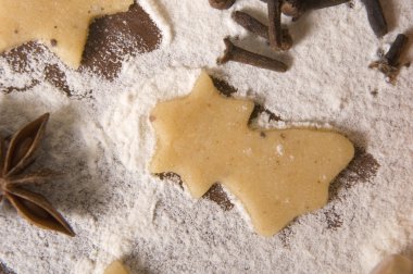 Noel gingerbreads maddeler