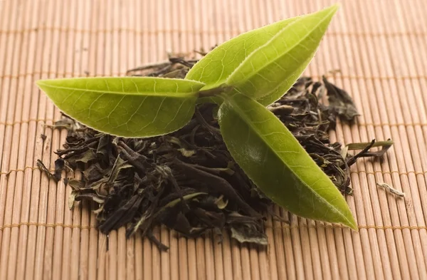 Зеленый чай — стоковое фото