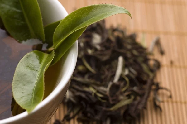 Green Tea — Stock Photo, Image