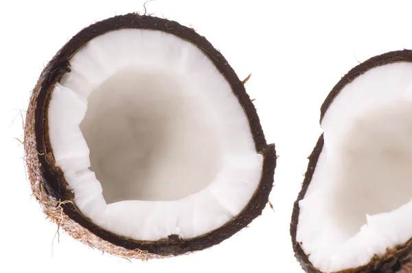 Open kokosnoot — Stockfoto