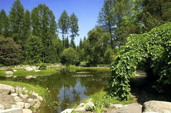 stock image Summer landscape. lake