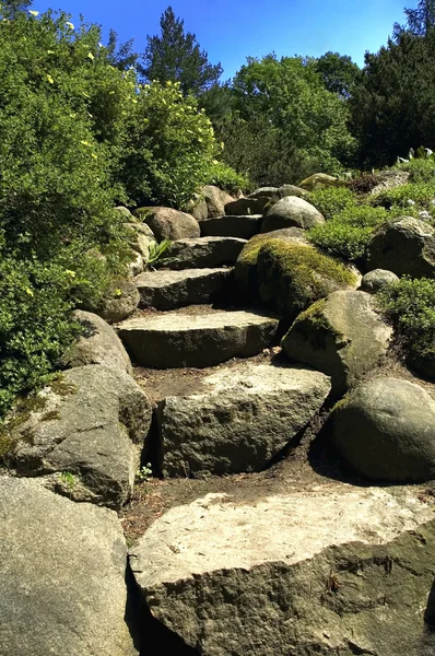 Stone stairs. summer scenic — Stock Photo, Image