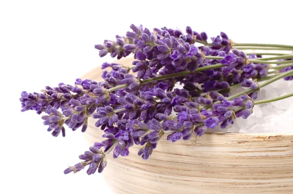 Lavender bath — Stock Photo, Image