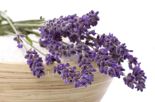 Lavendel bad — Stockfoto