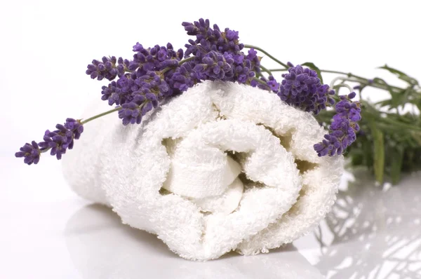 stock image Lavender bath