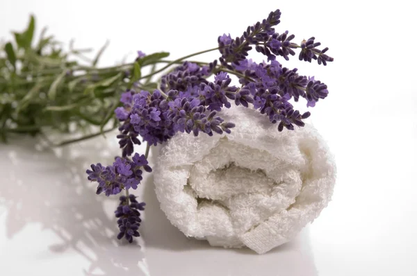 Lavender bath — Stock Photo, Image