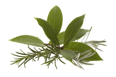 Fresh herbs. rosemary, lavender and bay leaf clipart