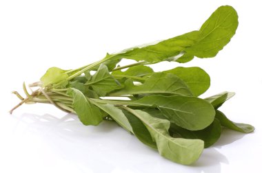 taze rucola