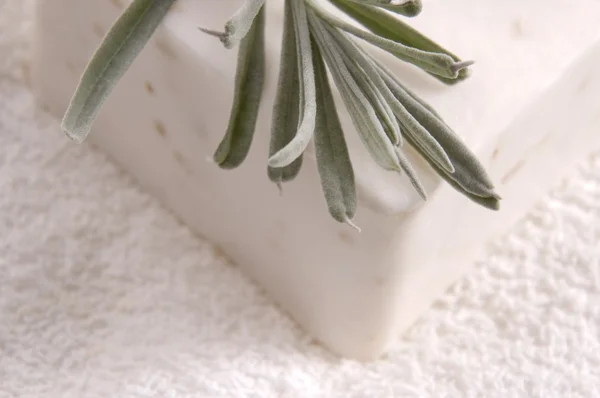 Milk soap and fresh herbs — Stock Photo, Image