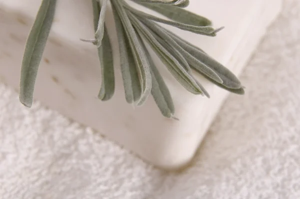 Milk soap and fresh herbs — Stock Photo, Image