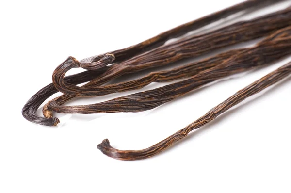 Vanilla beans — Stock Photo, Image