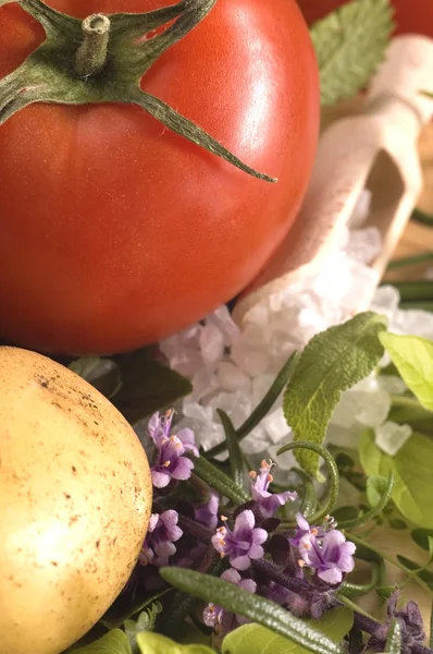 Frische Kräuter und Gemüse — Stockfoto