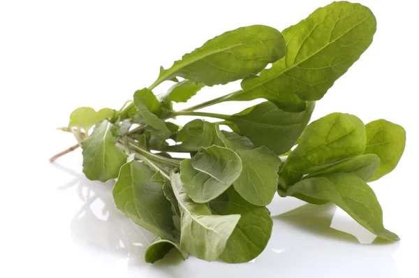 stock image Fresh rucola