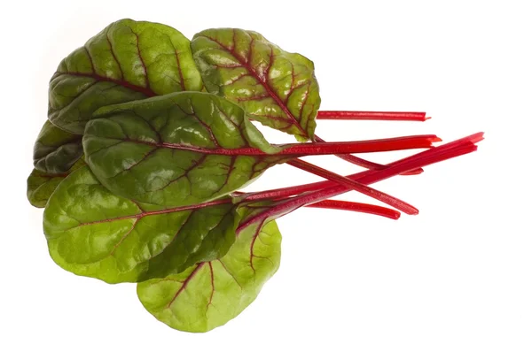 stock image Fresh vegetables - spinach beet