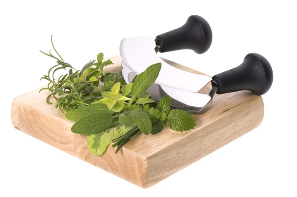 Chopping fresh herbs — Stock Photo, Image