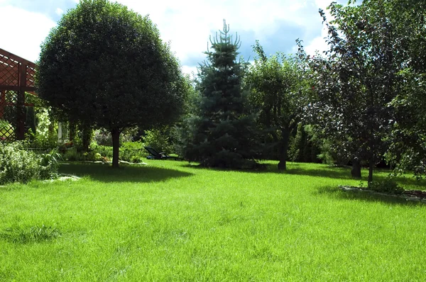 Сад. летняя сцена — стоковое фото