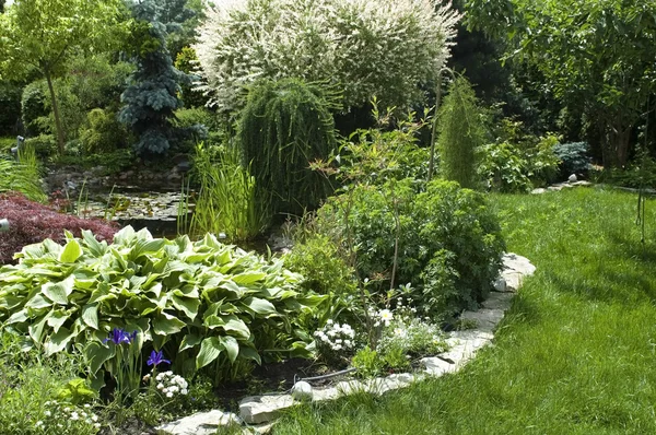 Peaceful garden — Stock Photo, Image