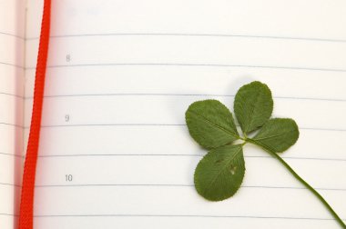 Four Leaf Clover and New Day clipart