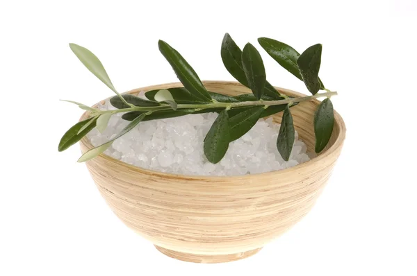 Branche d'olivier frais et sel de bain isolé sur le — Photo