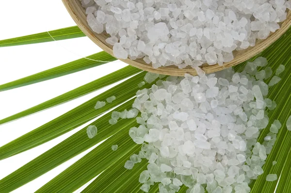Bagno di sale e foglia di palma — Foto Stock
