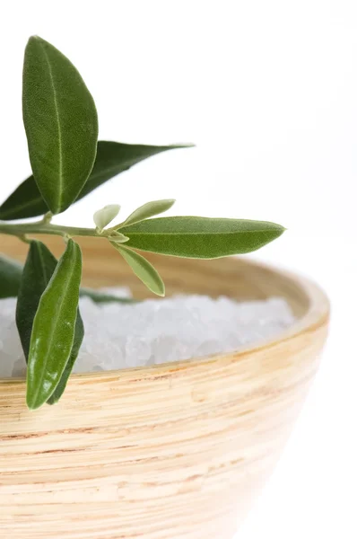 Rama de olivo fresca y sal de baño. spa —  Fotos de Stock