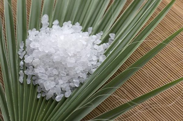 Μπάνιο αλάτι και palm φύλλα — Φωτογραφία Αρχείου