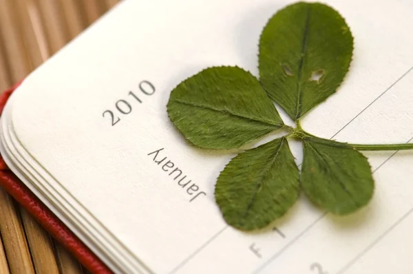 Négy leaf clover és új évet. január 2010. — Stock Fotó