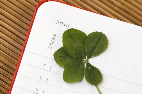 Five Leaf Clover and New Year. January 2010. — Stock Photo, Image