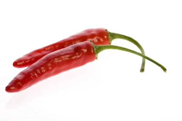 Beyaz izole hot chilli peppers — Stok fotoğraf