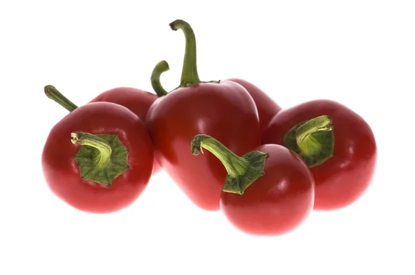 Hot chilli papričky izolované na bílém — Stock fotografie