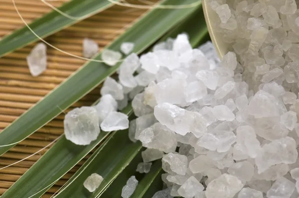 Bad zout en palm blad — Stockfoto