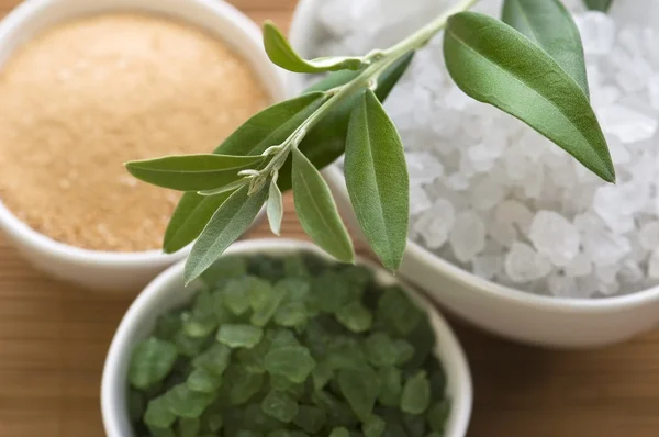 Čerstvou olivovou ratolestí a koupelová sůl. lázně — Stock fotografie
