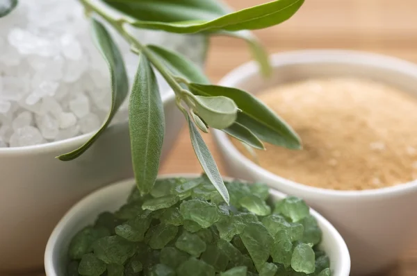 Fresh olive branch and bath salt. spa — Stock Photo, Image