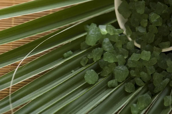 Banyo tuzu ve palmiye yaprağı — Stok fotoğraf