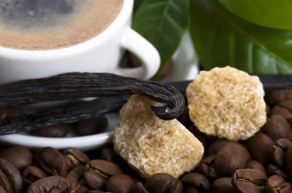 Caffè fresco con ramo di caffè — Foto Stock
